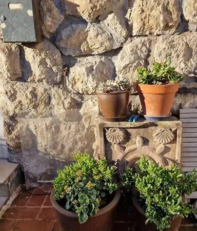 Apartamento Independiente En Planta Baja Con Patio Ajardinado Y Parking Apartment Santander
