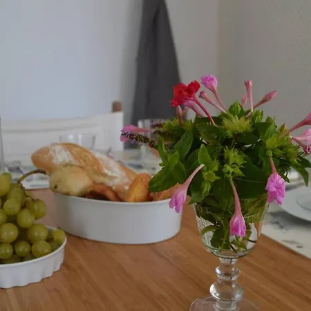 Apartamento Independiente En Planta Baja Con Patio Ajardinado Y Parking Apartamento *